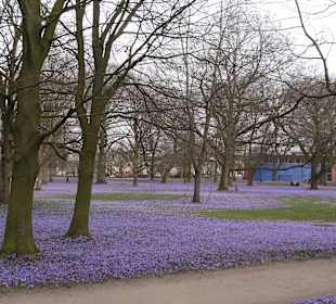Blick Richtung Krankenhaus
