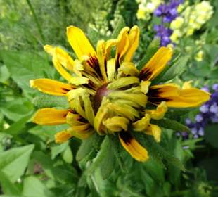 Rundgang durch den Park der Gärten