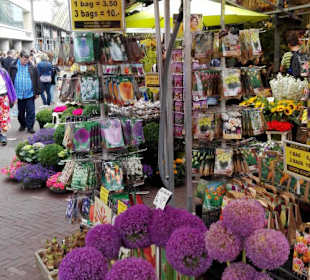 Amsterdam - Blumenmarkt