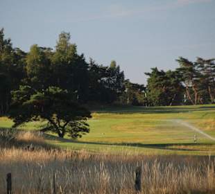 Die Sprenger laufen am frühen Morgen