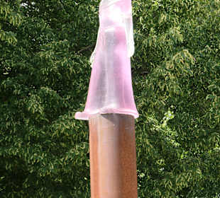 Die lila leuchtende Heilige Mechthild