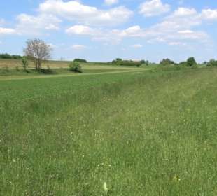 Wanderweg Sieben-Täler-Runde 