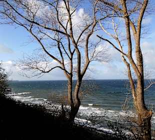 Blick von Steilküste in Rerik