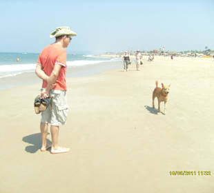 Der Endlosstrand mit Hund (Selbstversorger)