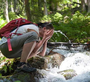 Wandern im Nationalpark Bay. Wald