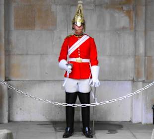 Horse Guard Impression