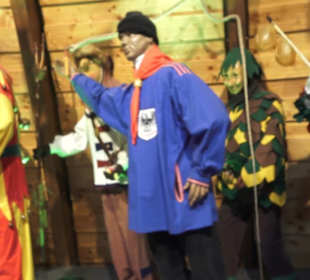 Fastnachtsmuseum Narrenschopf