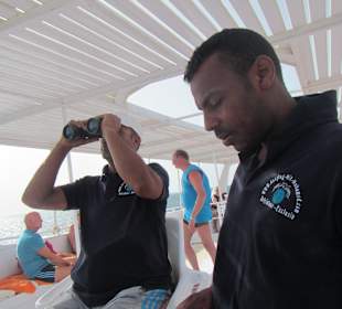 Auf der Suche nach den Delfinen