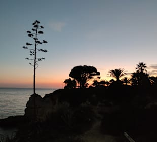 Praia de Nossa Senhora da Rocha
