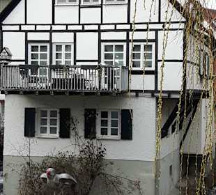 Fischerviertel