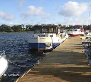 Marina SchwarzerSchwan in Rorwalde Masuren