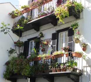 Wunderbare Hausansichten