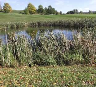 Land- und Golf-Club Öschberghof 