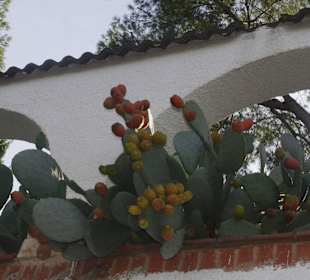 Ла Мора - пригород Таррагоны, Коста-Дорада