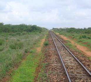 Железная дорога