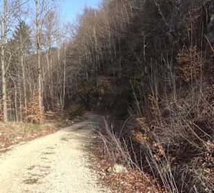 Premiumwanderweg Hohenwittlingensteig