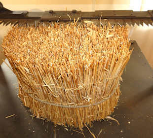 Kürzen des Flaschenschutzes