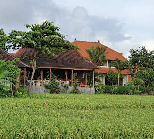 Sawah Bali