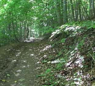 Premiumwanderweg "hochgelegen"