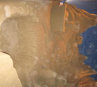 Berglandschaft mit Fluβ Schlange Kröte & Krügen