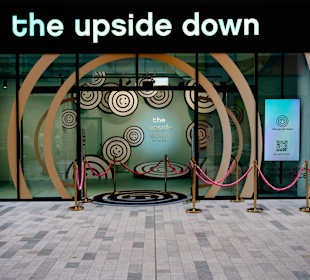 DIe verrückte Welt von Upside Down