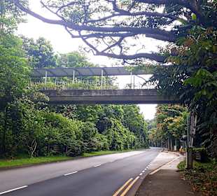 Mount Faber Park