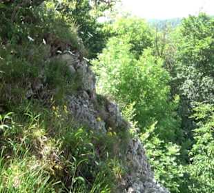 Premiumwanderweg "hochgelegen"