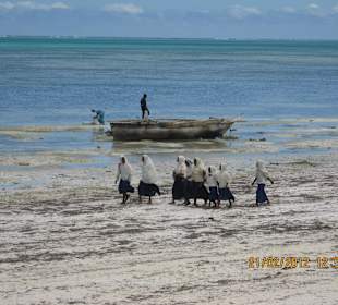 Schulkinder auf dem Heimweg