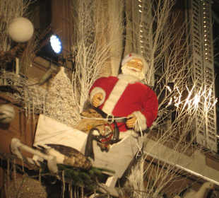 Niko läßt grüßen