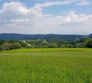 Wandern Melk