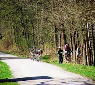 Rad- und Wanderwege