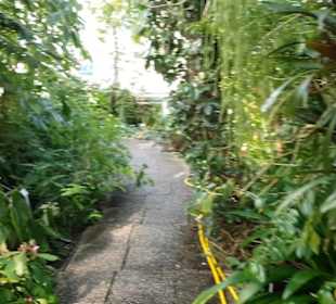 Botanischer Garten 