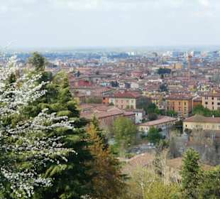 Chiesa di San Michele in Bosco