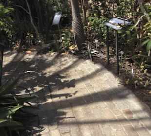 Botanischer Garten der Universität Zürich