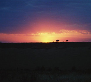 Es wird Nacht in der Masai Mara