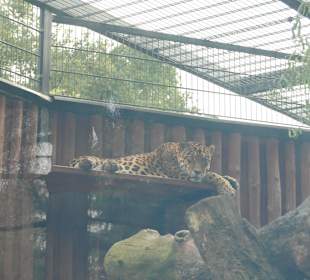 Zoo Warszawa
