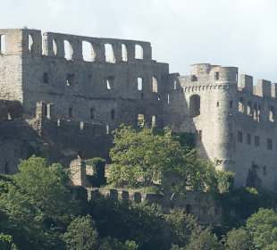 Burg Rheinfels, hoch über dem Rhein