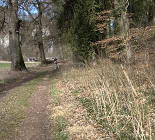Klosterfelsenweg