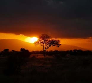 Traumhafter Sonnenuntergang