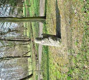 Kamień w Parku w Wojnowicach