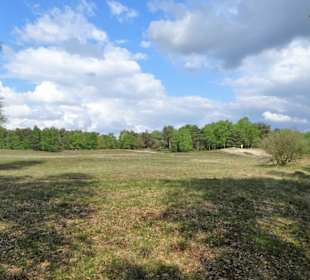 Heidelandschaft am Westufer der Talsperre