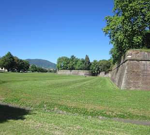 Stadtmauer Lucca