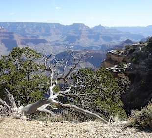 Wandern Grand Canyon Abstieg Colorado River	