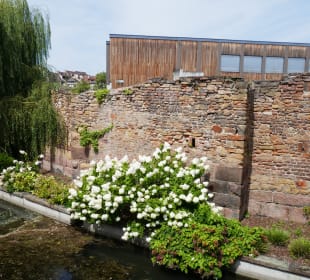 Alte Stadtmauer hinter dem Fluss