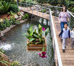 Raffeiner Orchideenwelt