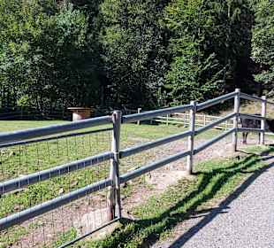 Wildpark Osterzgebirge