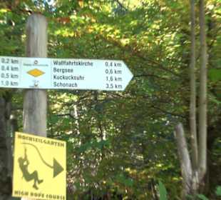 Natur-Hochseilgarten Triberg