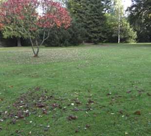 Gruftkirche der Fürsten zu Fürstenberg