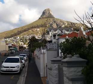 Lion's Head 1