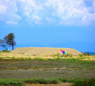 Naturschutzgebiet dei Pini